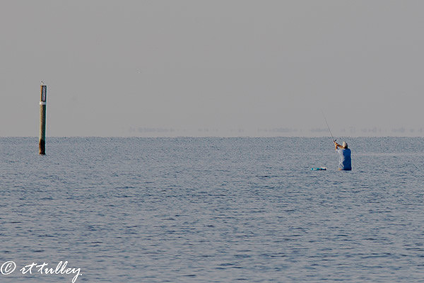 patience,fishing