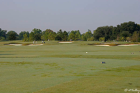 Oakwing GC #5