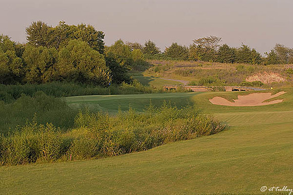 Black Bear GC #6