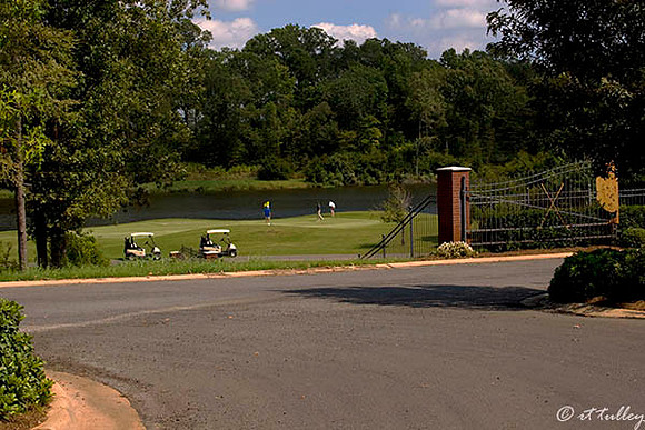 Olde Oaks Oak #9