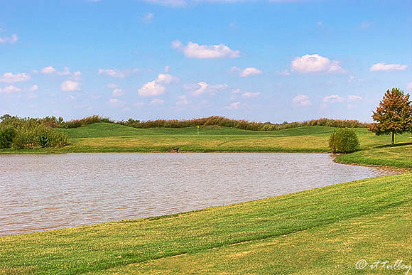 Olde Oaks Meadow #8