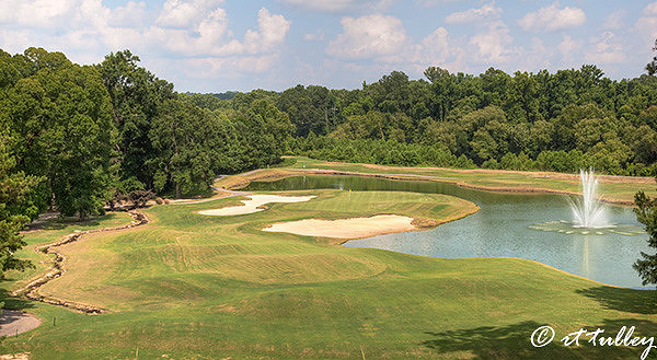 golf course architedture, the bluffs, #17