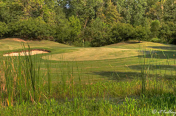 Olde Oaks Oak #1