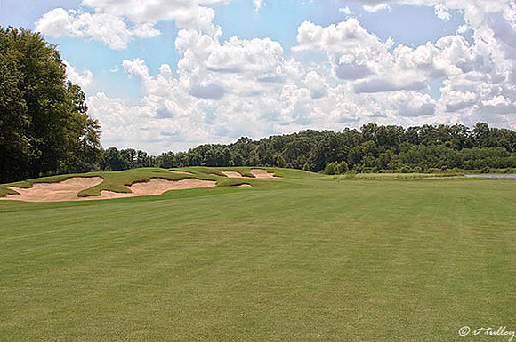 Black Bear GC #3