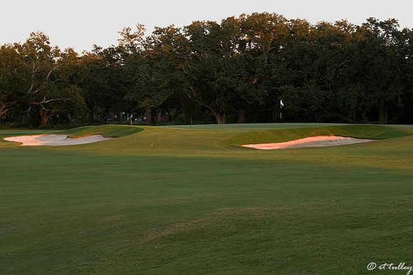 Audubon GC #18