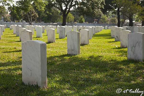 baton rouge national cemetery