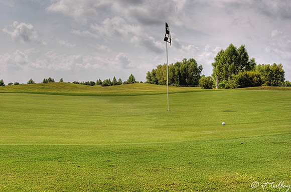 Oakwing GC #14