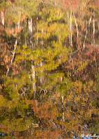 twin lakes reflection
