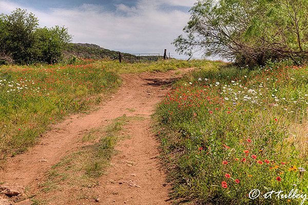 the road less traveled,texas dirt road