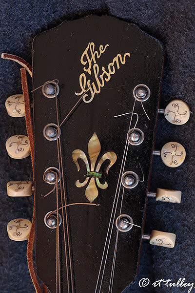 tune-ups,turning,mandolin tuners