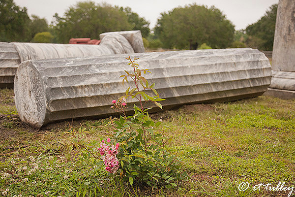 reminders,fallen columns