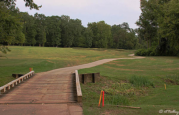 Tamahka Trails #7