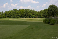 the Wetlands #4