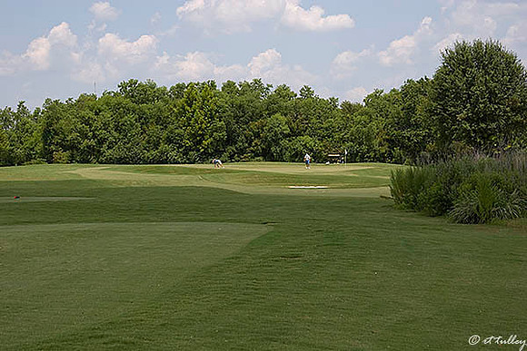the Wetlands #4