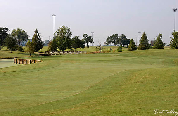 Oakwing GC #7