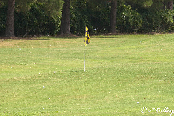 targets,golf practice range