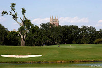 Audubon GC #2 Green