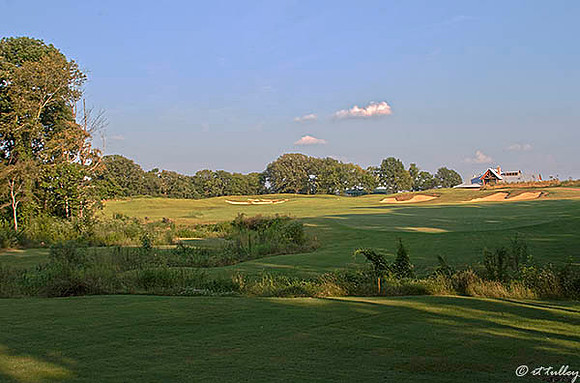 Black Bear GC #18