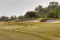 Oakwing GC #3