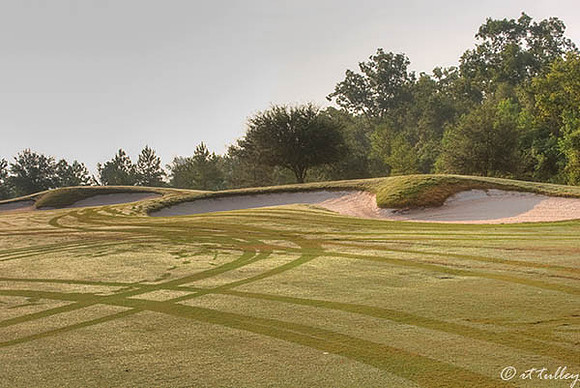 Oakwing GC #3