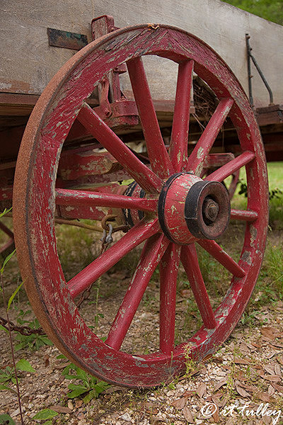 transporation,wheel,wagon
