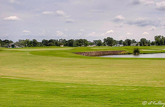 the Wetlands #18