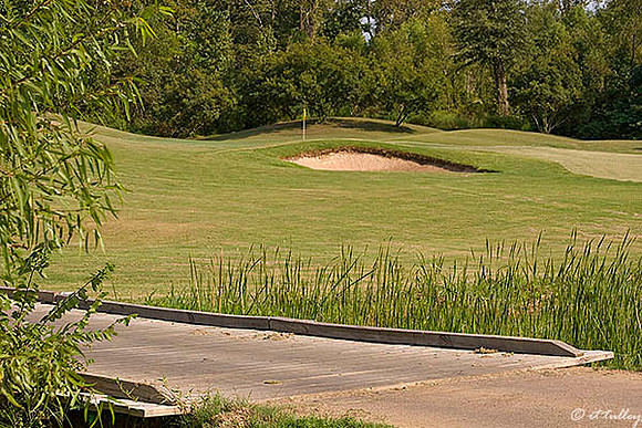 Olde Oaks Oak #1