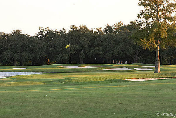 Audubon GC #18