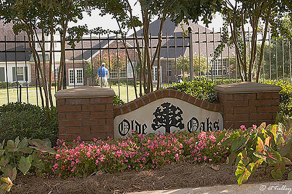 Olde Oaks Sign