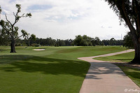 Audubon GC #2
