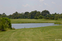 the Wetlands #2