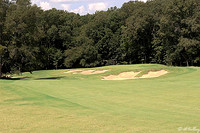 Black Bear GC #1