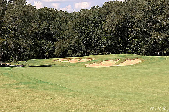 Black Bear GC #1