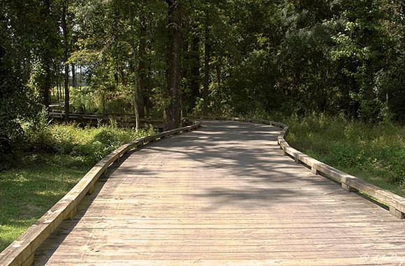 Black Bear GC Cart Bridge to #2