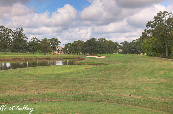 hazards,santa maria golf course,#5