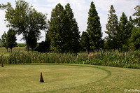 the Island #2 tee
