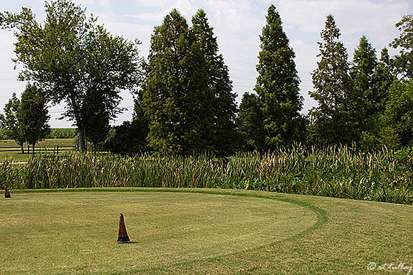 the Island #2 tee