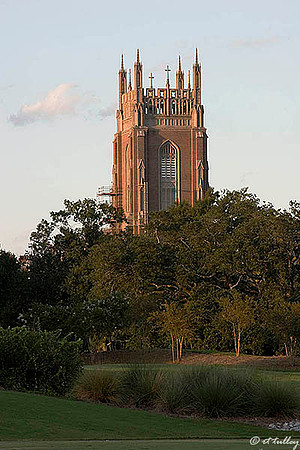 Audubon GC Holy Name of Jesus Church at Loyola University