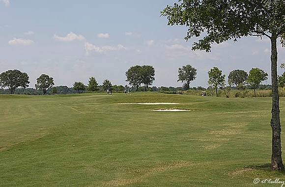 the Wetlands #7