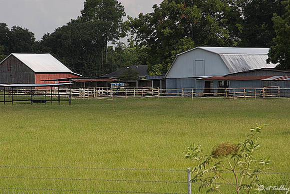 the Wetlands Farm