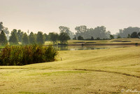 Oakwing GC #3