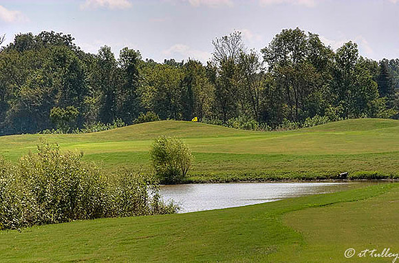 Olde Oaks Meadow #7