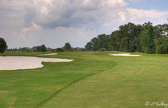 the Island #15