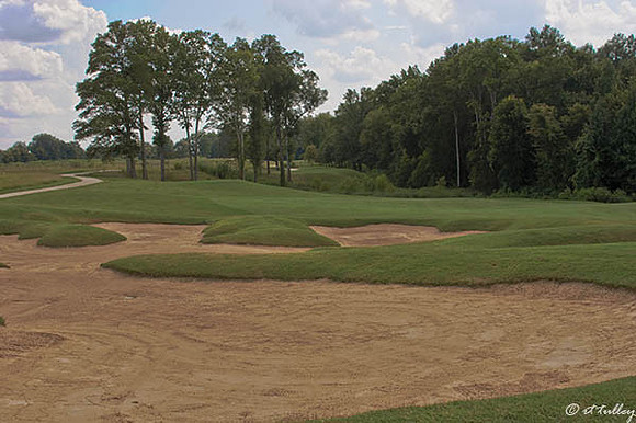 Black Bear GC #9
