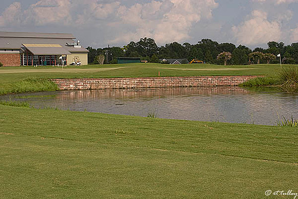 the Wetlands #18