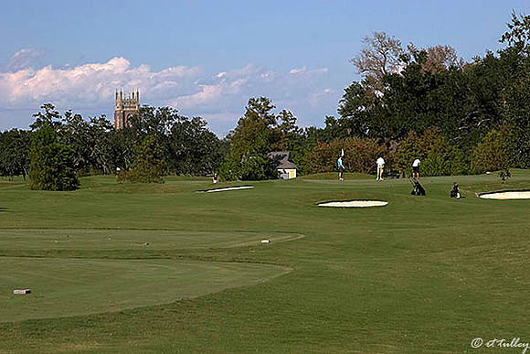 Audubon GC #6