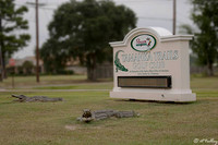 Tamahka Trails Entry Sign