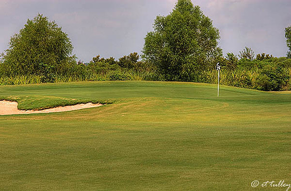 Oakwing GC #14