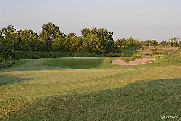 Black Bear GC #6