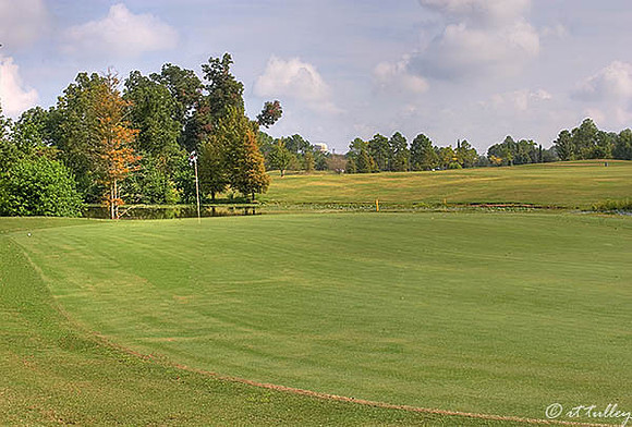 Oakwing GC #11